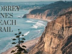 Torrey Pines Beach Trail – The Best Tips for Hiking and Exploring Torrey Pines Beach Trail