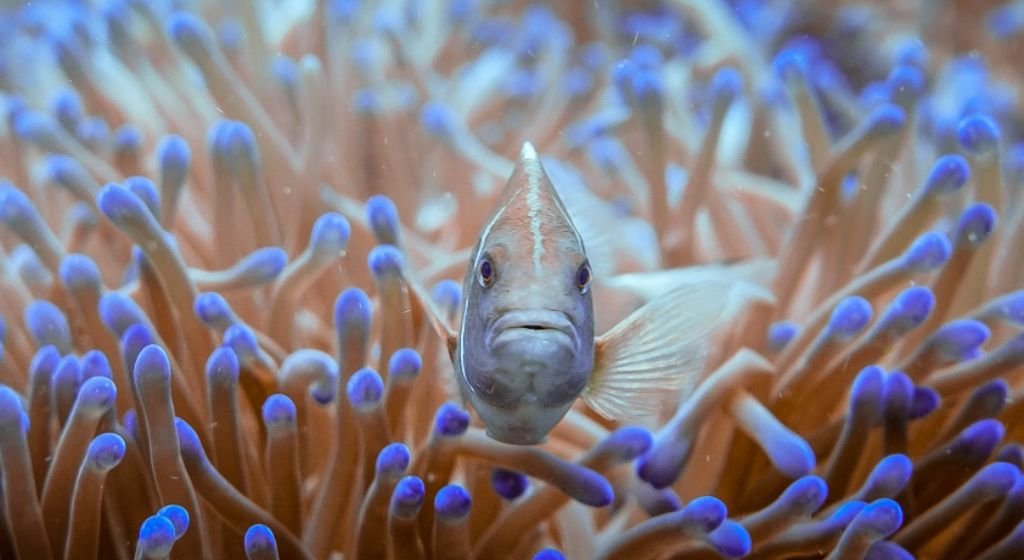 Breaking free from the routine life