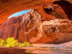 Golden Cathedral – A Journey Through Utah’s Natural Wonders Golden Cathedral