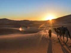 From Desert Dunes to Coastal Bliss: Explore Morocco’s Must-See Destinations Morocco Must See Destinations