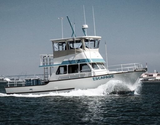 Making the Most of Your Offshore Charter Experience in San Diego Offshore Charter Experience in San Diego