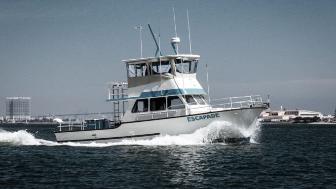 Offshore Charter Experience in San Diego