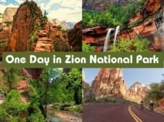 One Day in Zion National Park – Maximize Your Adventure One Day in Zion National Park