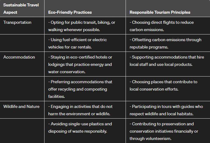 The Future of Sustainable Travel