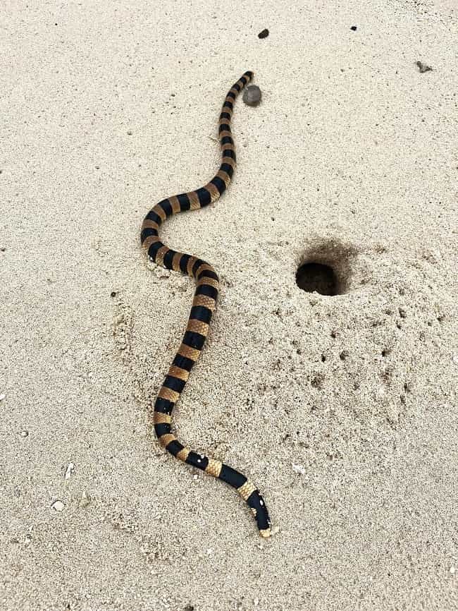 Indoor and Outdoor activities in New Caledonia