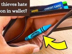 Why Thieves Hate Crayon In Wallet? why thieves hate crayon in wallet