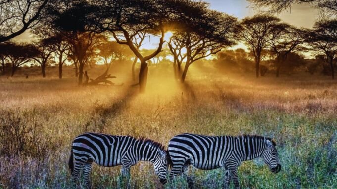 Serengeti National Park