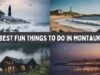The 51 Best Fun Things to Do in Montauk in 2026: Beaches, Food & Adventures Best Fun Things to Do in Montauk