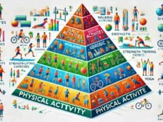 Where on the Physical Activity Pyramid Do Sedentary Activities Belong? Physical Activity Pyramid