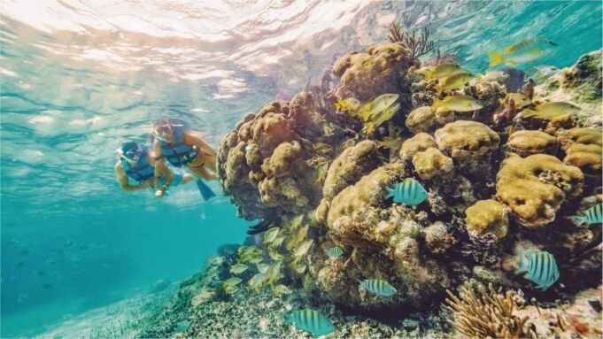 Snorkel in Cancun Isla Mujeres