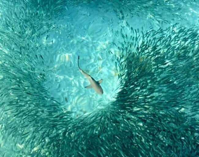 Exploring caves in Vietnam