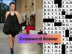 Spanish Luxury Fashion House Crossword Clue and Answers Spanish Luxury Fashion House Crossword