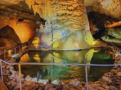 Cathedral Caverns State Park: A Geological Wonder in Alabama Cathedral Caverns State Park