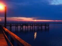 Meaher State Park: A Natural Retreat in Alabama’s Delta Meaher State Park