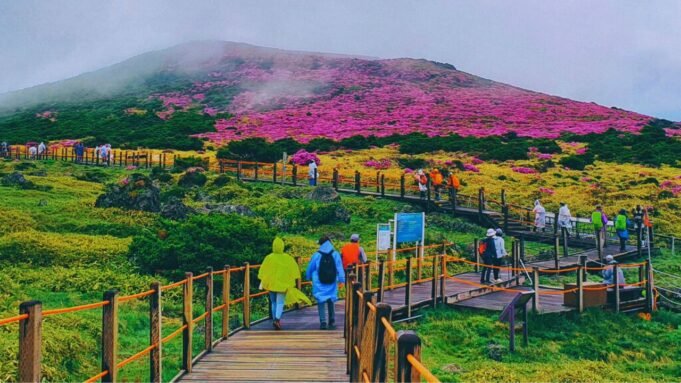 Things to Do in Jeju Island