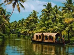 Kerala Tour Packages: Experience the Magic of Backwaters and Hills Kerala Tour Packages