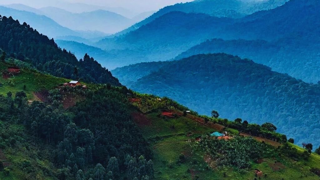 Bwindi Impenetrable Forest