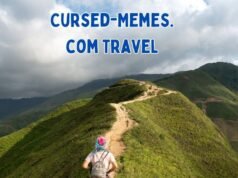 Exploring the Whimsical World of Cursed-Memes.com Travel Cursed-Memes.com Travel