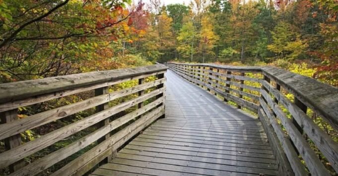 Fun Things To Do In The Garden State