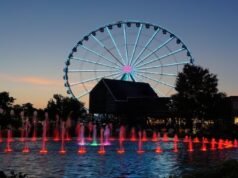 Uncovering the Magic of Pigeon Forge: A Guide to Must-See Attractions Must-See Attractions Pigeon Forge