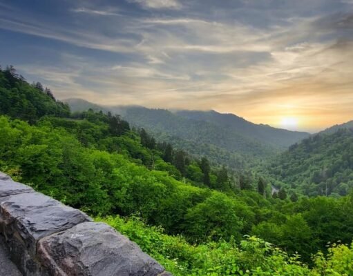 Making the Most of a Family Road Trip to the Smoky Mountains Family Road Trip to the Smoky Mountains