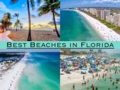 15 Best Beaches in Florida for Every Type of Traveler Best Beaches in Florida