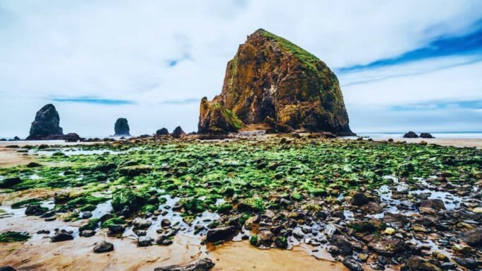 Haystack Rock Tide Pools