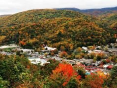 How to Plan a Screen-Free Vacation the Whole Family Will Enjoy? How to Plan a Screen-Free Vacation