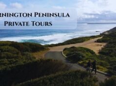 Exploring Australia’s Coastal Gems: A Guide to Mornington Peninsula’s Private Tours Mornington Peninsula Private Tours