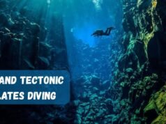 Iceland Tectonic Plates Diving Tours: Best Times, Operators, and Tips Iceland Tectonic Plates Diving