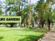 Muliro Gardens: Kakamega’s Green Jewel with a Colorful Past Muliro Gardens