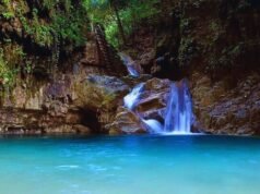 Puerto Plata Excursions: Adventure, Culture, and Caribbean Charm Puerto Plata Excursions