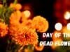 Day of the Dead Flowers: Meaning, Symbolism, and Tradition Day of the Dead Flowers