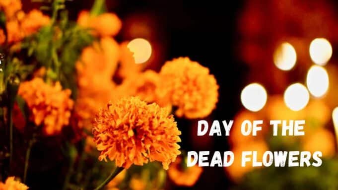 Day of the Dead Flowers