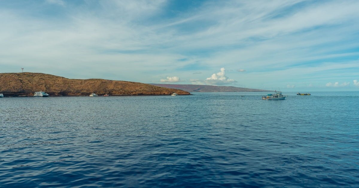 What-Will-I-see-At-Molokini-Crater