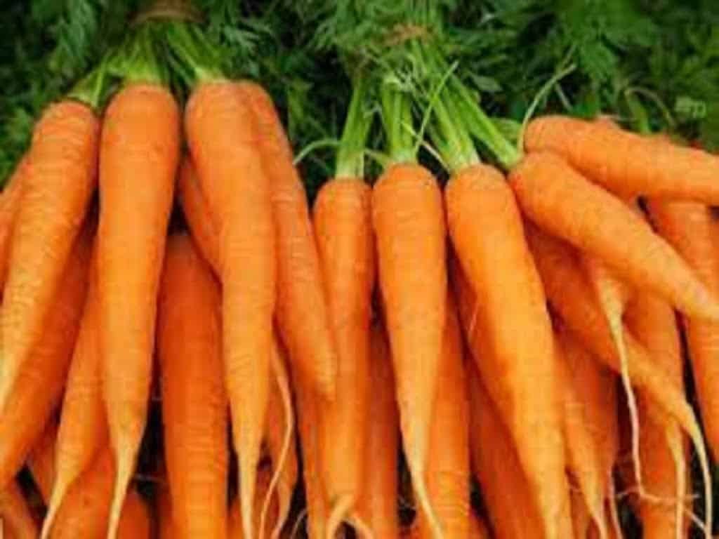 Carrots