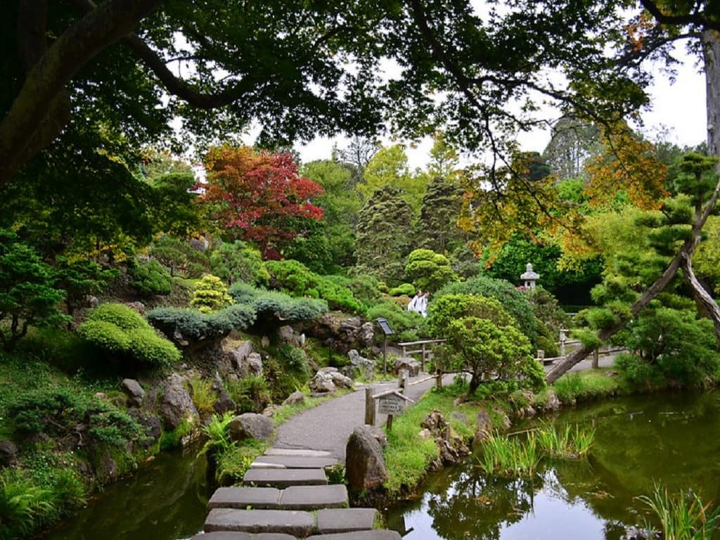 Discover Golden Gate Park