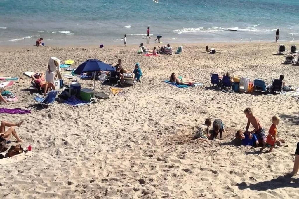 Florida Weather in February 2024 Tour in