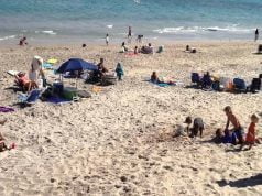 Florida Weather in February in 2026 Florida Weather in February