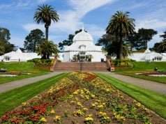 Top 22 Attractions in Golden Gate Park Golden Gate Park