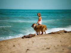 33 Best Beaches in Malibu, California Malibu Beach