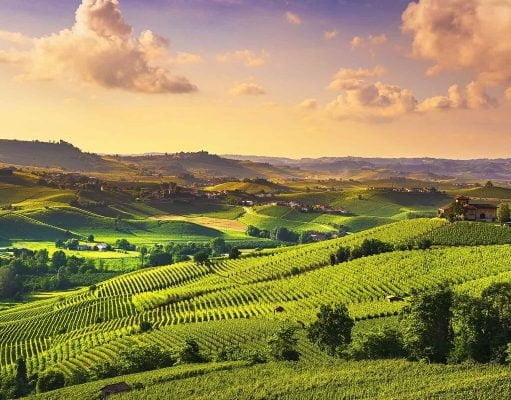 Motivations to Visit the Langhe Wine Region in Piemonte, Italy Visit the Langhe Wine Region in Piemonte