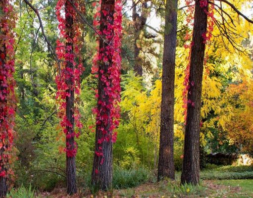 35 Best Things to Do in Grass Valley, California Things to Do In Grass Valley CA