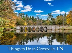 50 Best Things to Do in Crossville, TN Things to Do in Crossville,TN