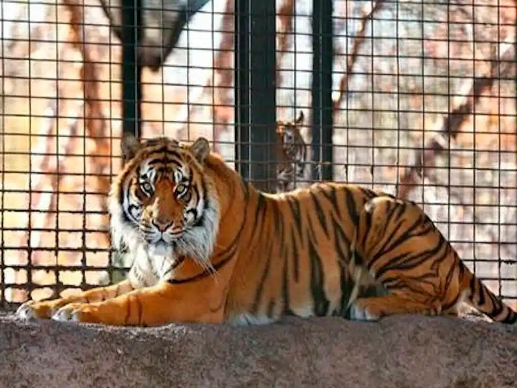 Tri-State Zoological Park