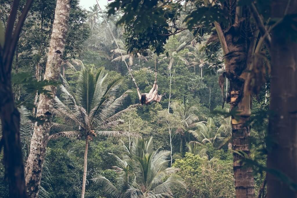 Jungle swing