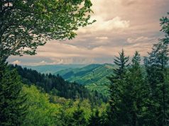 5 Top Reasons You Must Take A Trip To Sevierville This Year Reasons to Visit Sevierville