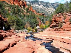 Tips for Enjoying A Vacation in Pigeon Forge Enjoying A Vacation in Pigeon Forge