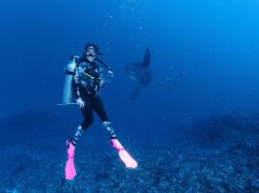 Reasons Why Nusa Penida is a Perfect Place to Take Your Diving Courses Nusa Penida Diving Courses