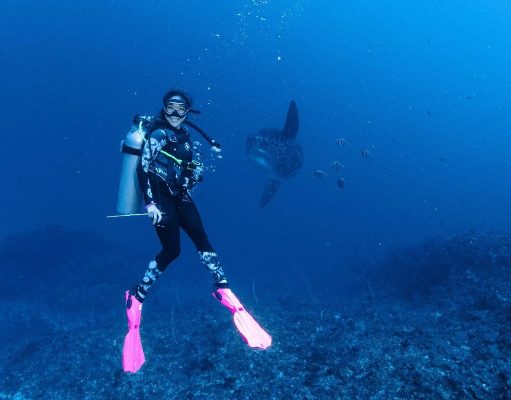 Reasons Why Nusa Penida is a Perfect Place to Take Your Diving Courses Nusa Penida Diving Courses